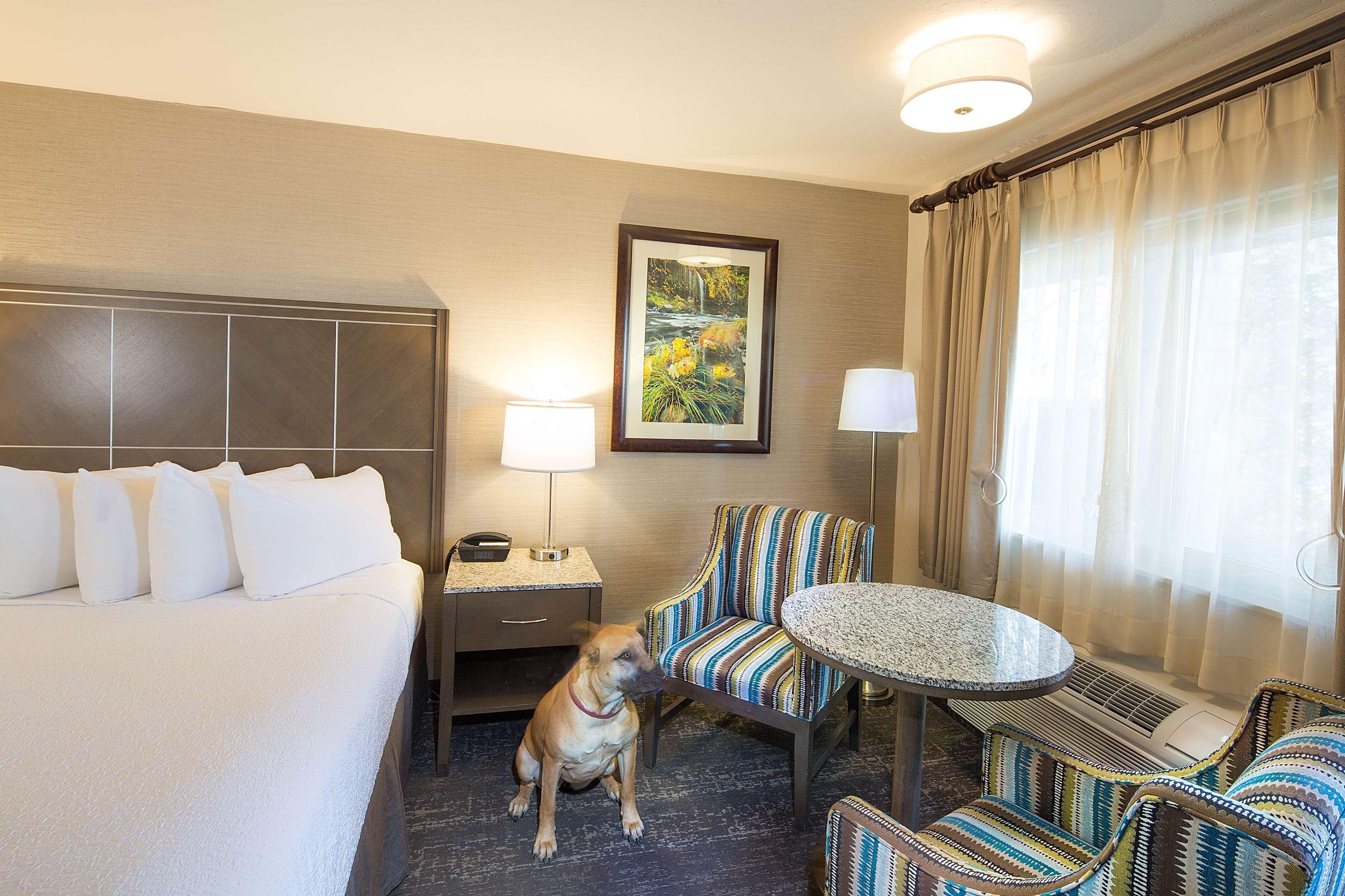 Best Western Plus Hilltop Inn Redding Buitenkant foto